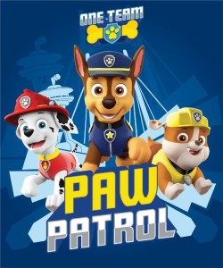 Polar blanket 100x140 Paw Patrol - PP 1046 Psi patrol