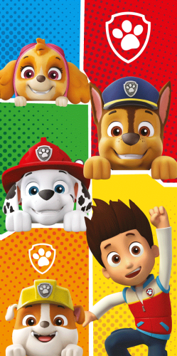 PP 1027 BT rev.png