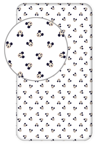 Mickey 931 FS_.PNG