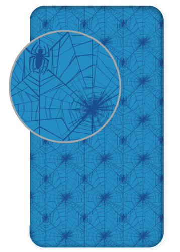 Spiderman 1928 FS_.PNG