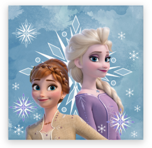 Towely 30x30 cm frozen 111