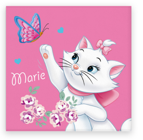 Marie 107 BT.png